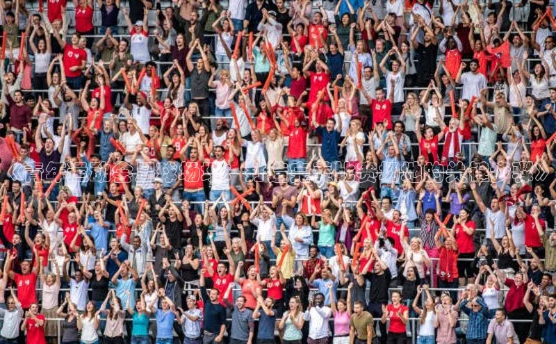 333体育app最新版本更新内容百度技术学院《青年运动会足球场地：打造完美比赛场地的关键步骤》