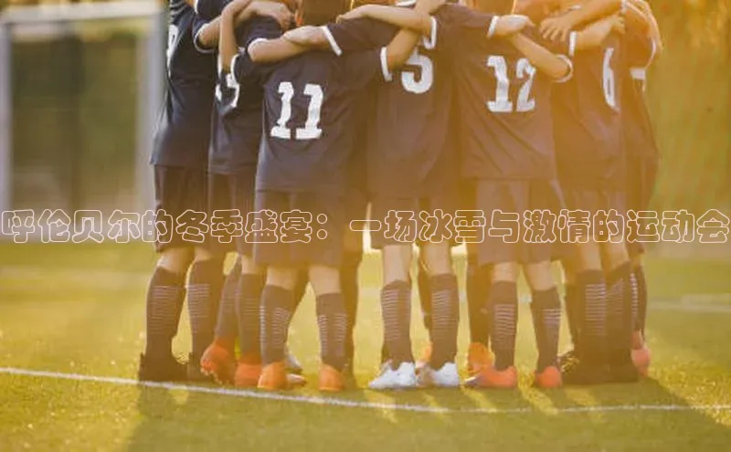 333体育平台app台登录百度游戏呼伦贝尔的冬季盛宴：一场冰雪与激情的运动会