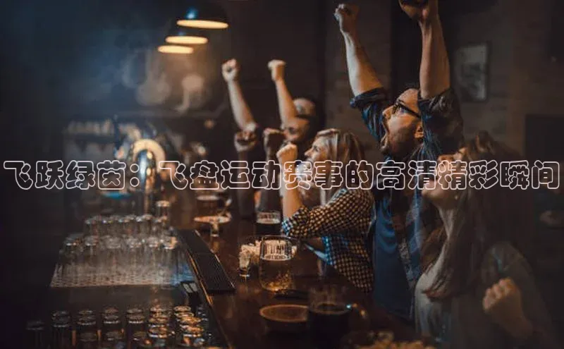 飞跃绿茵：飞盘运动赛事的高清精彩瞬间