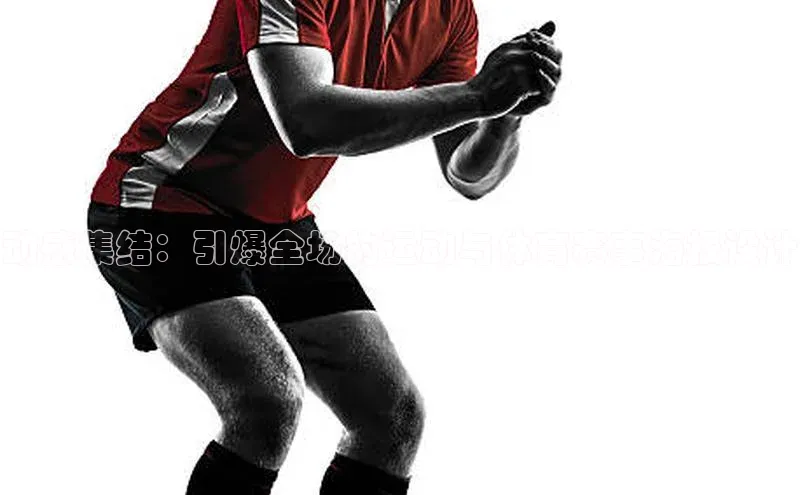 333体育平台app台登录