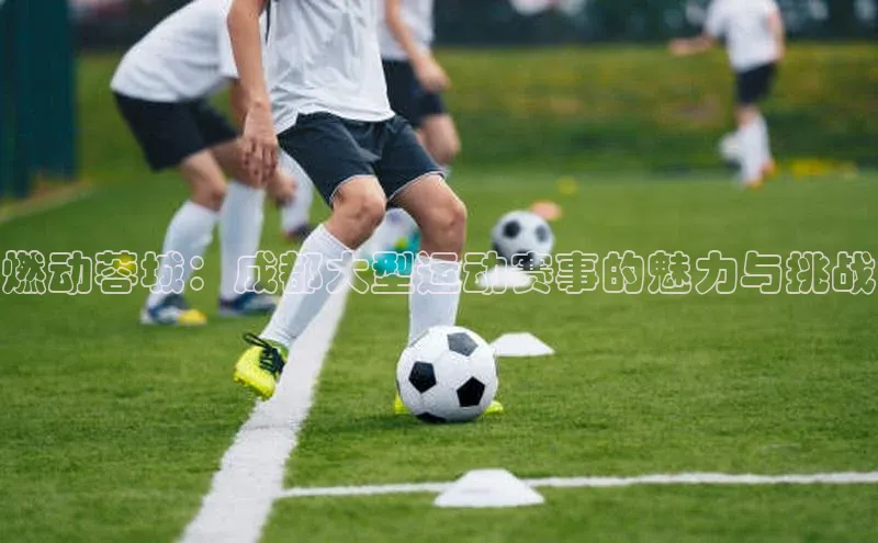 333体育平台app台登录