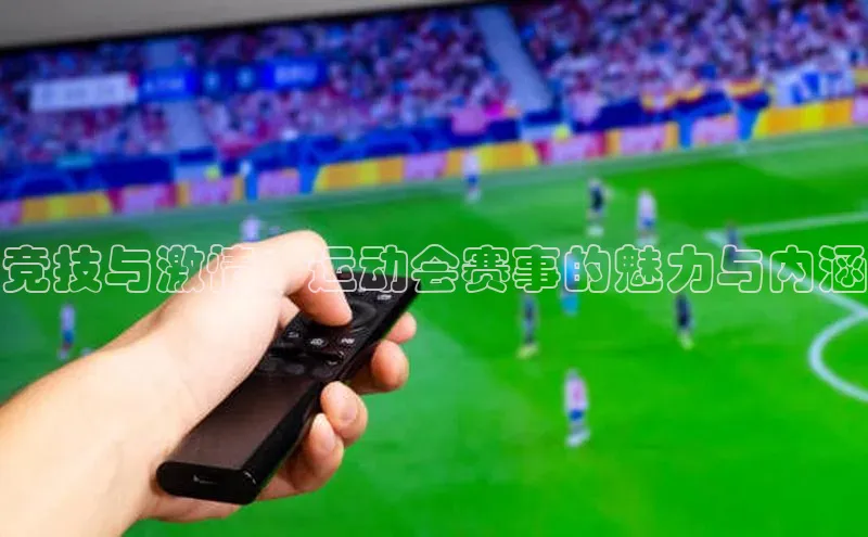 竞技与激情：运动会赛事的魅力与内涵