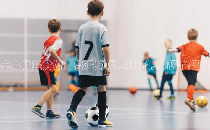 赛事收益分析：各运动项目经济影响评估报告