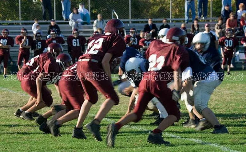 最新国家运动类竞技赛事：一场体育的盛宴与文化传承之旅