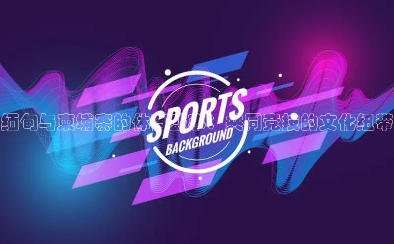 缅甸与柬埔寨的体育盛事：共同竞技的文化纽带