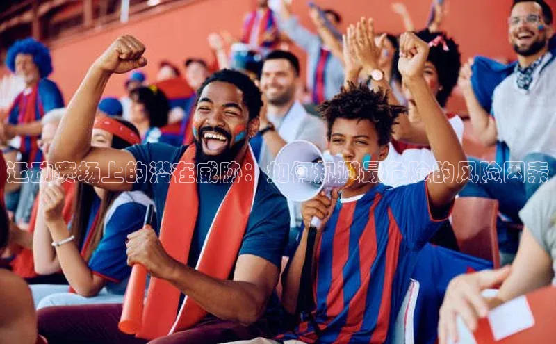 运动赛场上的潜在威胁：如何规避最危险的风险因素