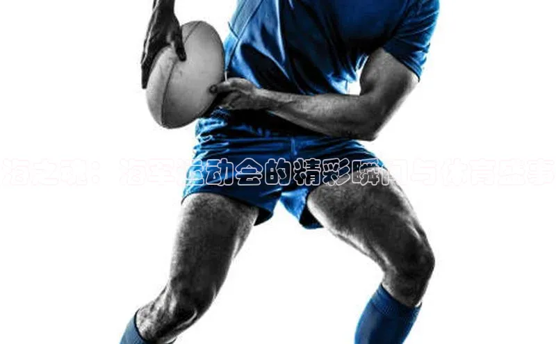 海之魂：海军运动会的精彩瞬间与体育盛事