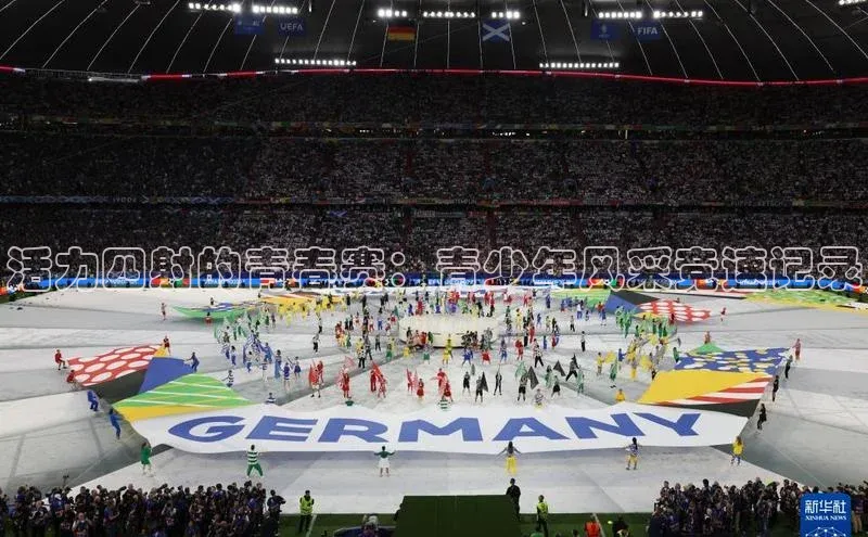 333体育官网下载