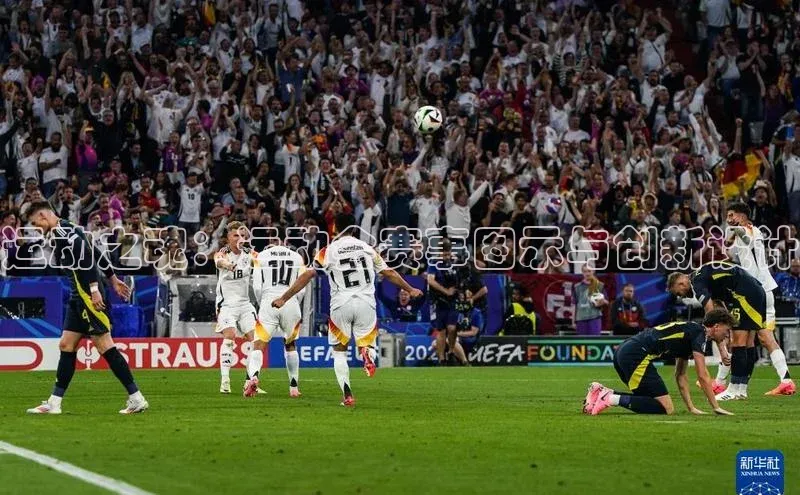 333体育官方网址