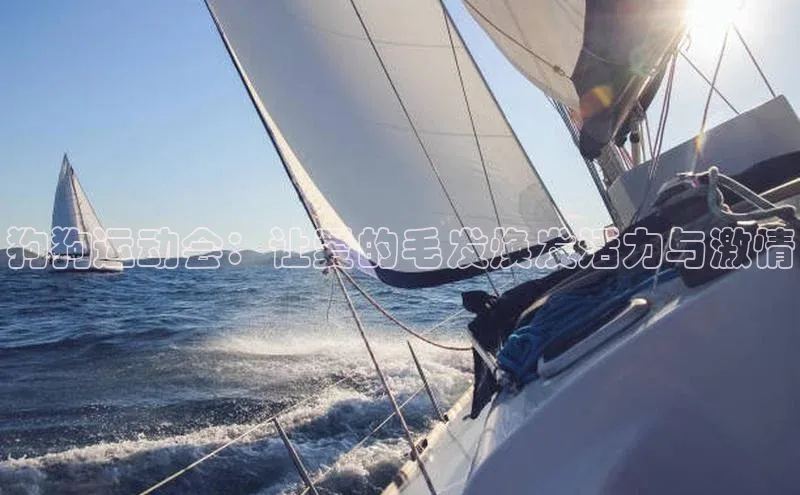 3377体育官方网站