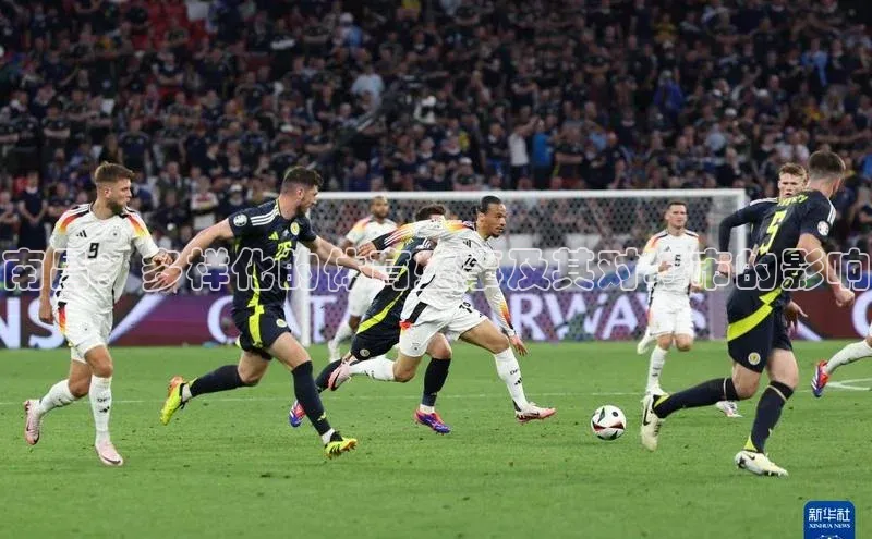 333体育app最新版本更新内容