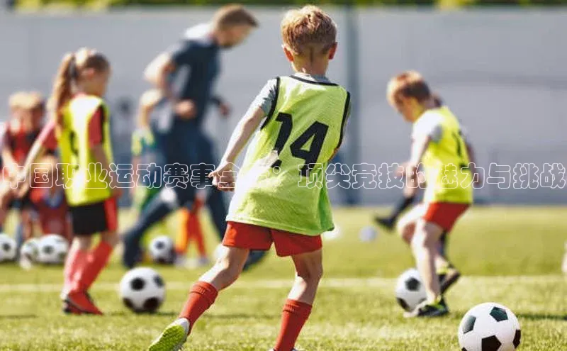 333体育平台app台登录