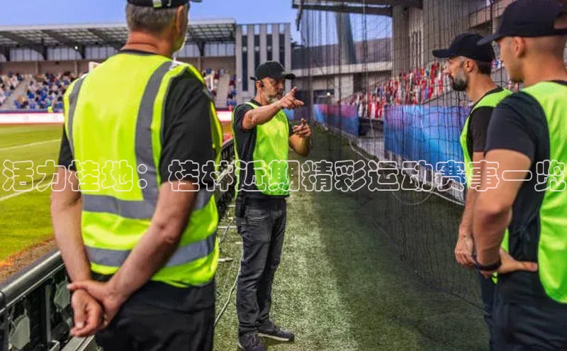 333体育网页登录