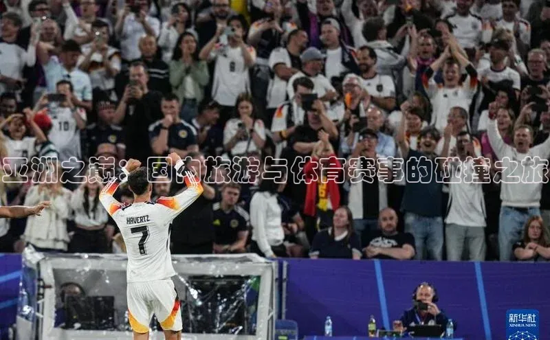 333体育官网在线登录