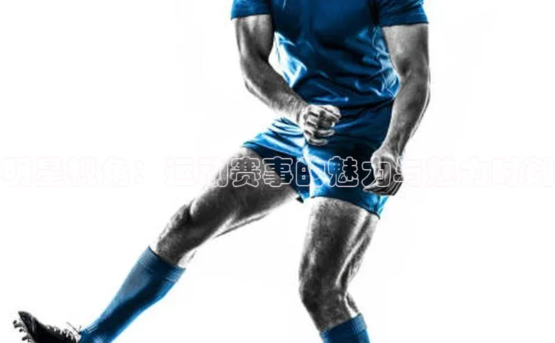 333体育赛事直播