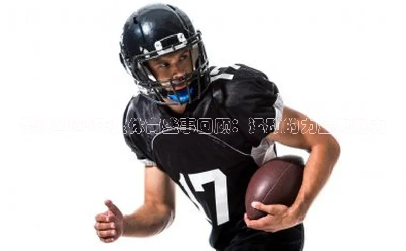 333体育官网入口