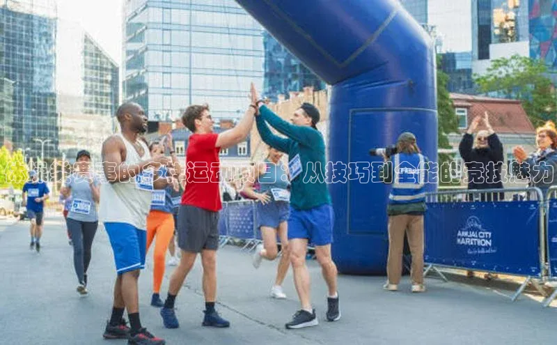 333体育官网登录入口