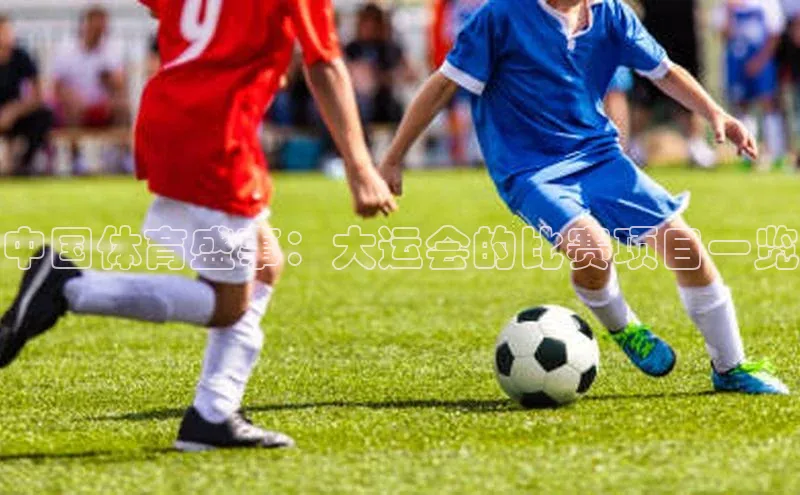 中国体育盛事：大运会的比赛项目一览